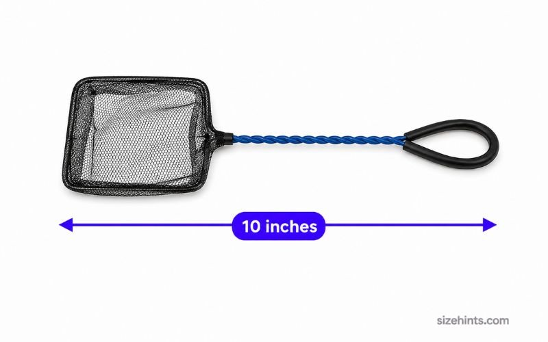 How Long Is 10 Inches