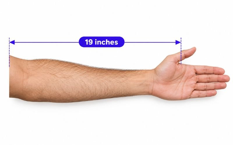 How Long Is 19 Inches